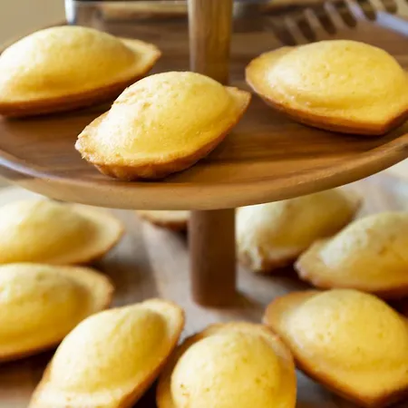 Odalys - Arenes - Palais Des Congres شقة فندقية 4*