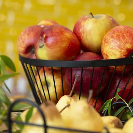 Odalys - Arenes - Palais Des Congres شقة فندقية نيم