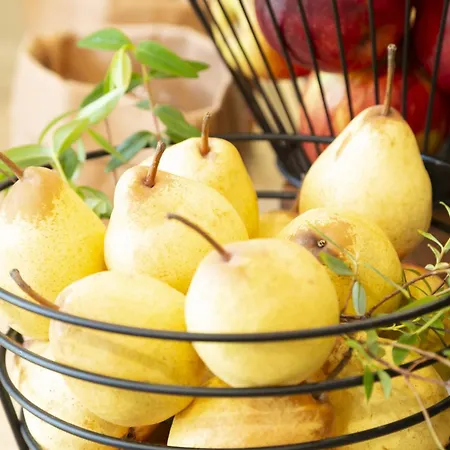 Odalys - Arenes - Palais Des Congres