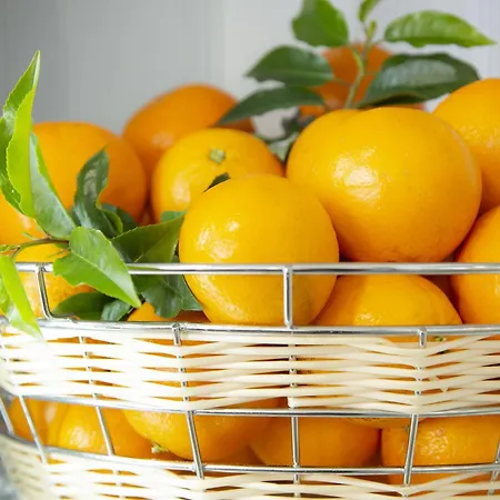 شقة فندقية Odalys - Arenes - Palais Des Congres نيم