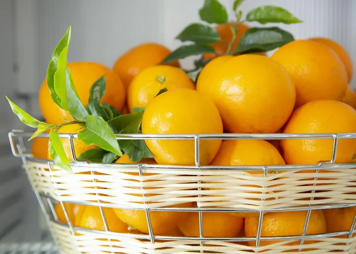 Apartmanhotel Odalys - Arenes - Palais Des Congres Nîmes